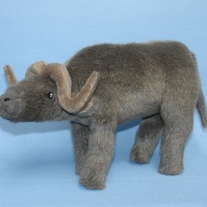 705  African Buffalo/ Afrikanischer Bffel / Afrikansk Buffel 25 cm