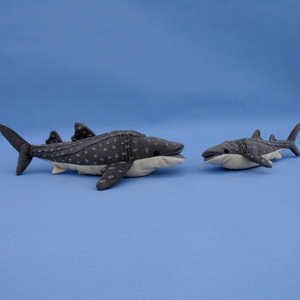 423 422  Whale Shark / Walhai / Valhaj, 42 cm, 29 cm